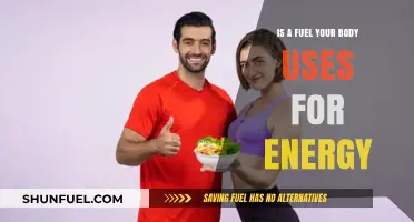 Fuel Your Energy: Understanding How Your Body Uses Nutrients for Power