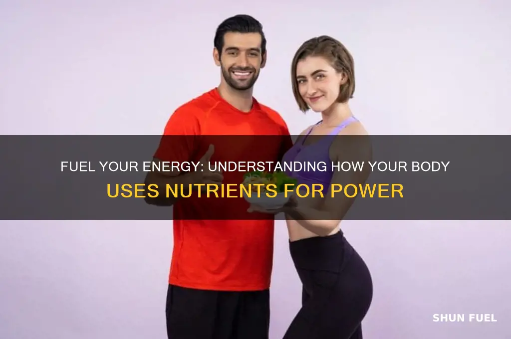 is a fuel your body uses for energy