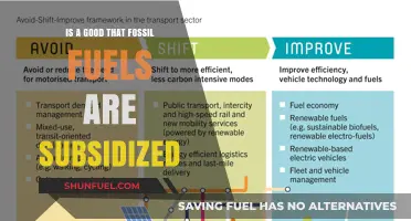 The Benefits of Fossil Fuel Subsidies: A Necessary Evil?