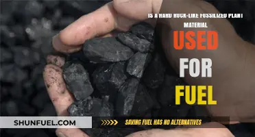 Fossilized Fuel: Ancient Hard Rock-Like Energy Source