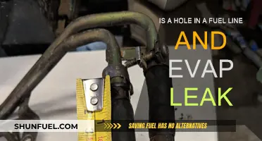 Fuel Line Holes: Evap Leaks and Their Impact