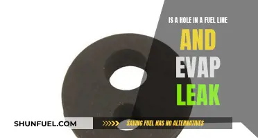 Fuel Line and EVAP Leak: Holes and Repairs