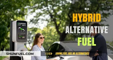 Exploring Hybrid Alternative Fuels: A Sustainable Energy Solution for the Future