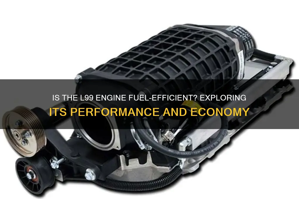 is a l99 flew fuel