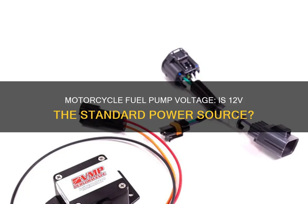 is a motorcycle fuel pump 12 v