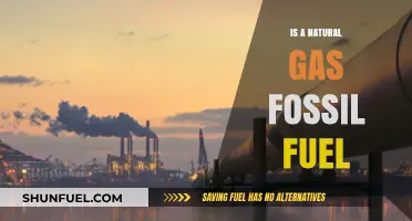 Natural Gas: Fossil Fuel or Green Energy?