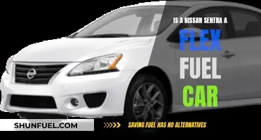 Flex Fuel and Nissan Sentra: A Compatible Match?