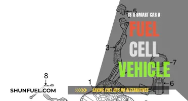 Smart Cars: Fuel Cell Vehicles or Not?