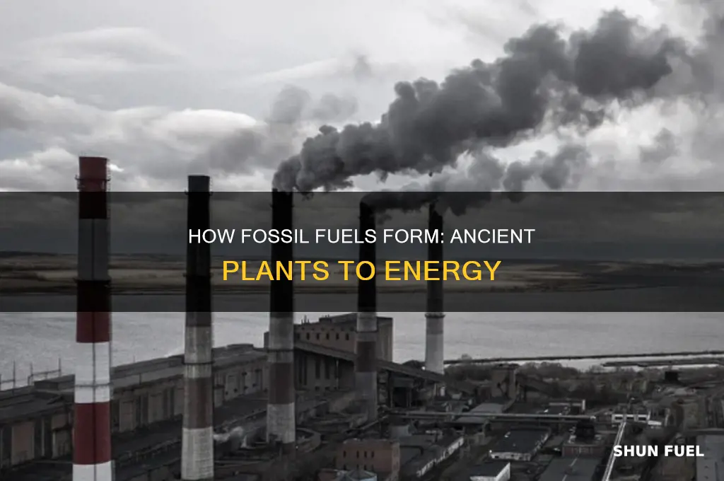 is a solid fossil fuel formed from plant remains