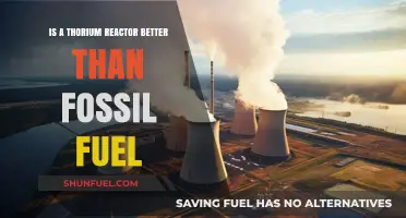 Thorium Reactors: Cleaner, Safer Energy Alternative?
