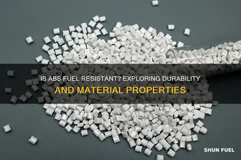 is abs fuel resistant
