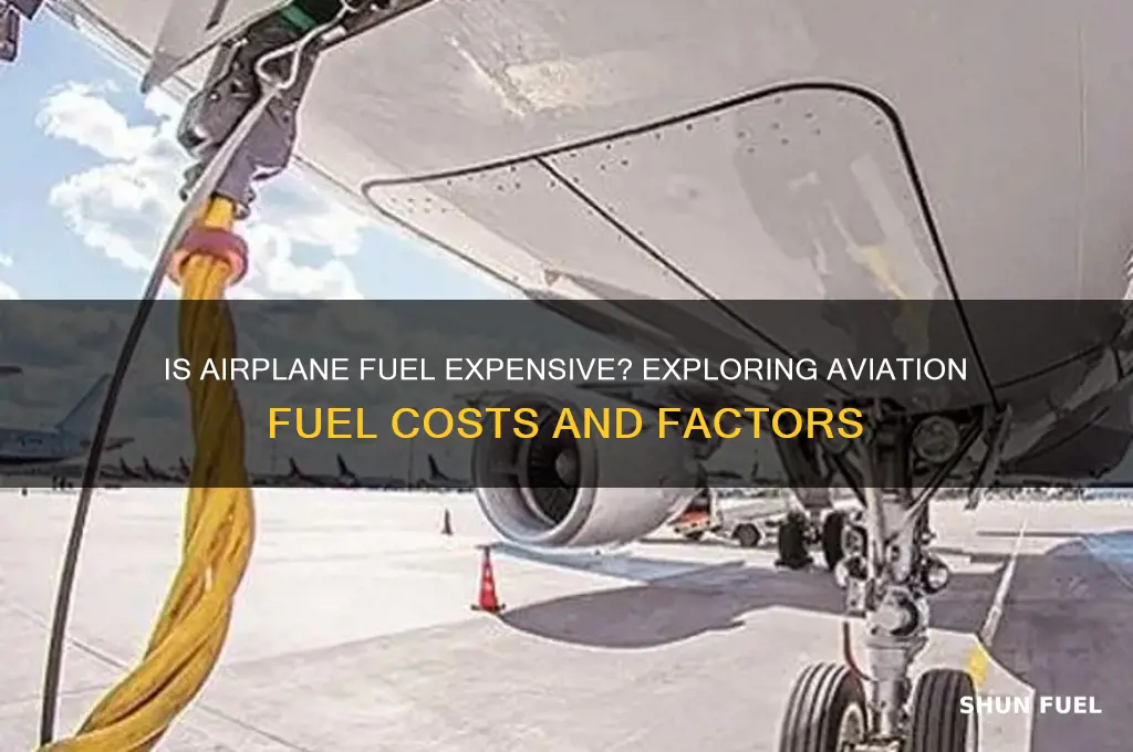 is air plane fuel expensive