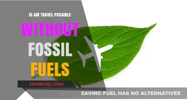 The Future of Air Travel: Fossil Fuel-Free?
