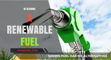 Exploring Alcohol as a Sustainable, Renewable Fuel Source