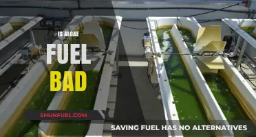 Is Algae Fuel Sustainable or Harmful? Exploring Pros and Cons
