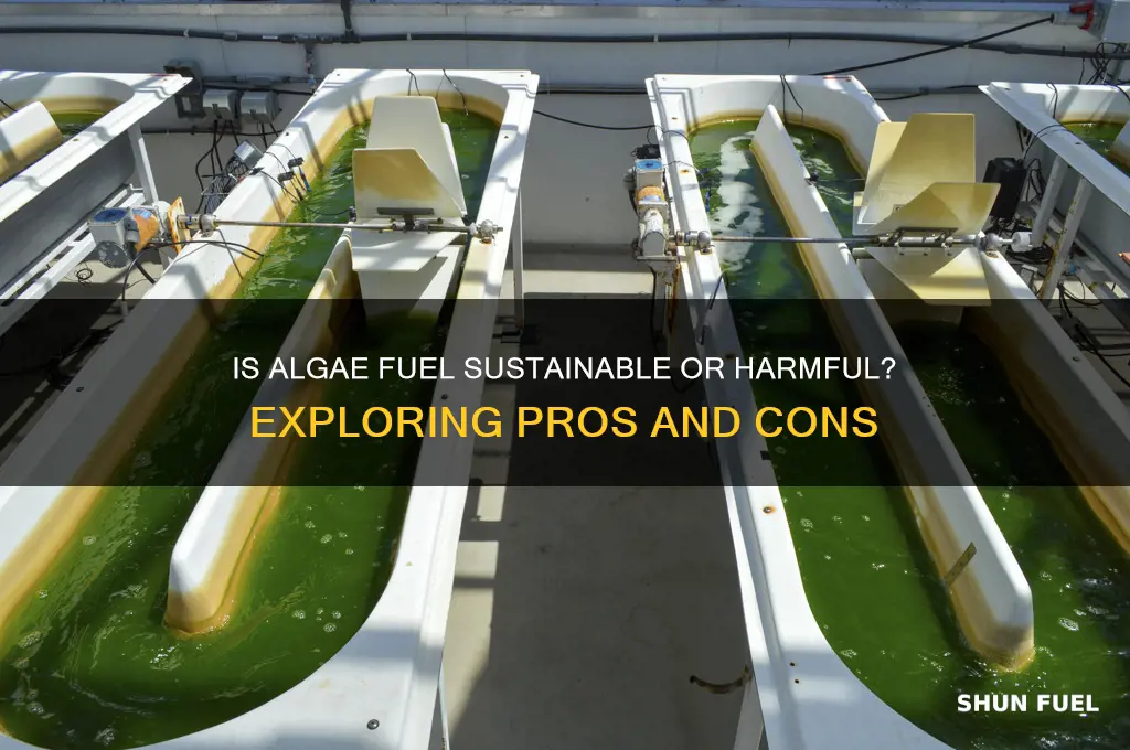 is algae fuel bad