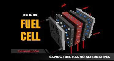 Exploring Alkaline Fuel Cells: Benefits, Applications, and Future Potential