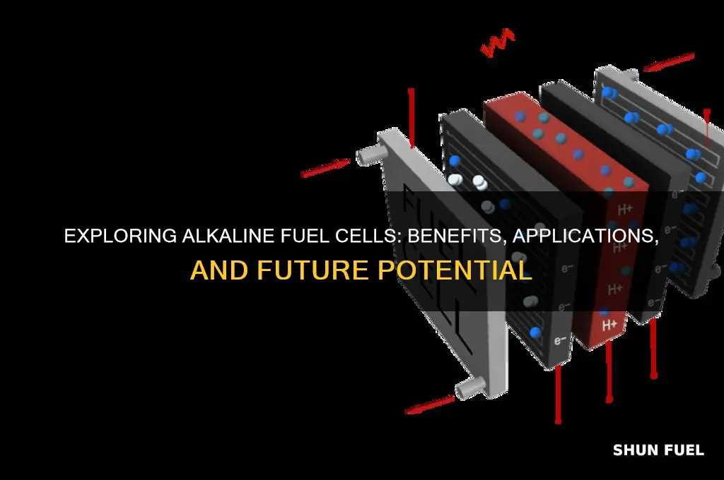 is alkalinea fuel cell