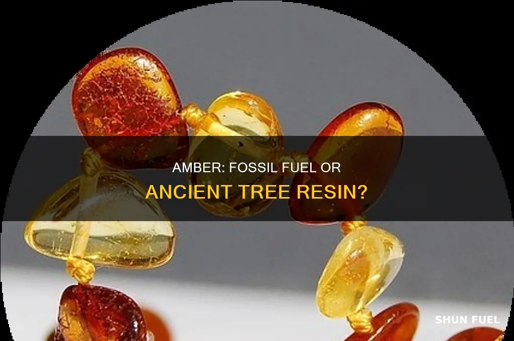 is amber a fossil fuel