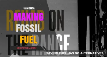 America's Fossil Fuel Addiction: A Troubling Reality