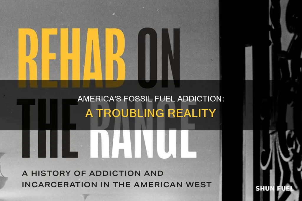 is america making fossil fuel