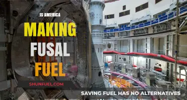 Is America Advancing Fusion Fuel: Progress, Challenges, and Future Prospects