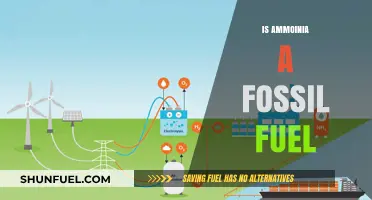 Ammonia: The Future of Fossil Fuel Alternatives?