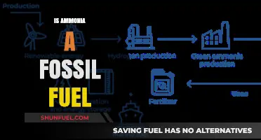 Ammonia: Fossil Fuel Alternative or Not?