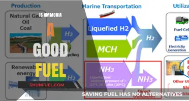 Ammonia as Fuel: Benefits, Challenges, and Future Potential Explored