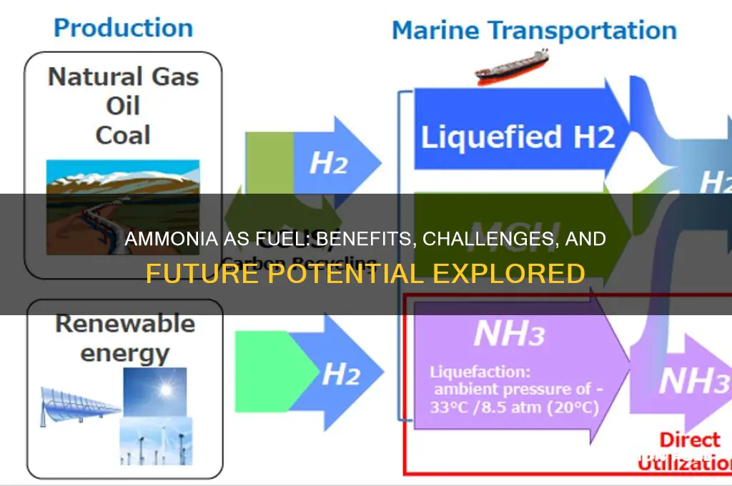 is ammonia a good fuel