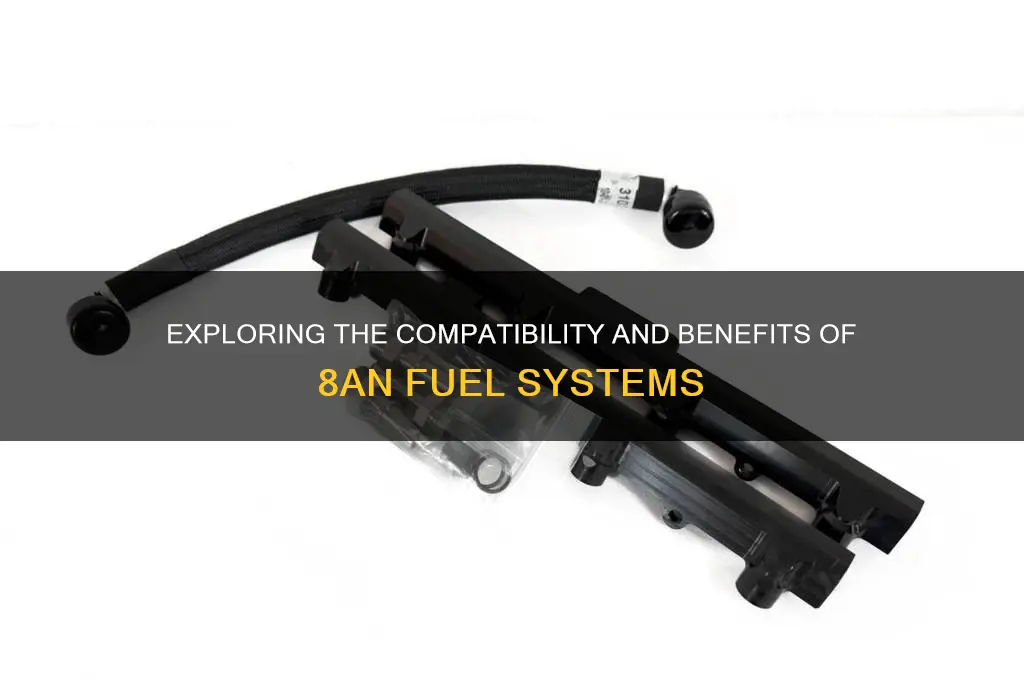 is an 8an fuel fit