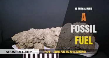 Fossil Fuels: Are Animal Dung Fossil Fuels?