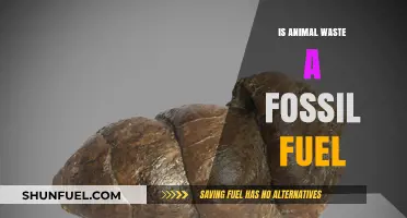 Animal Waste: A Fossil Fuel in Disguise?