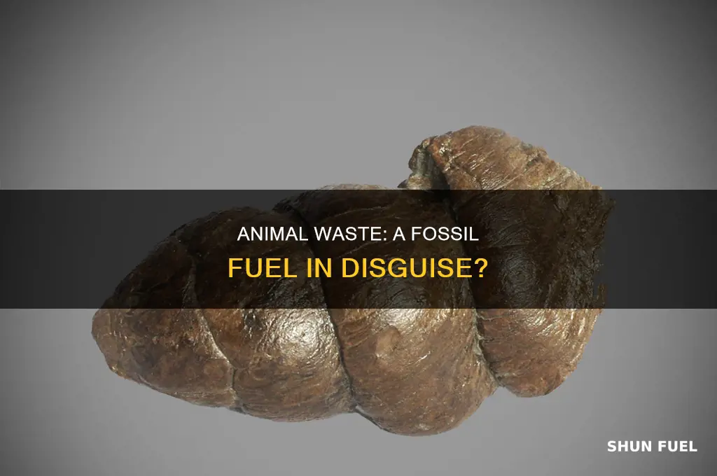 is animal waste a fossil fuel
