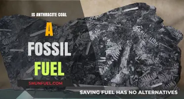 Anthracite Coal: Fossil Fuel or Not?