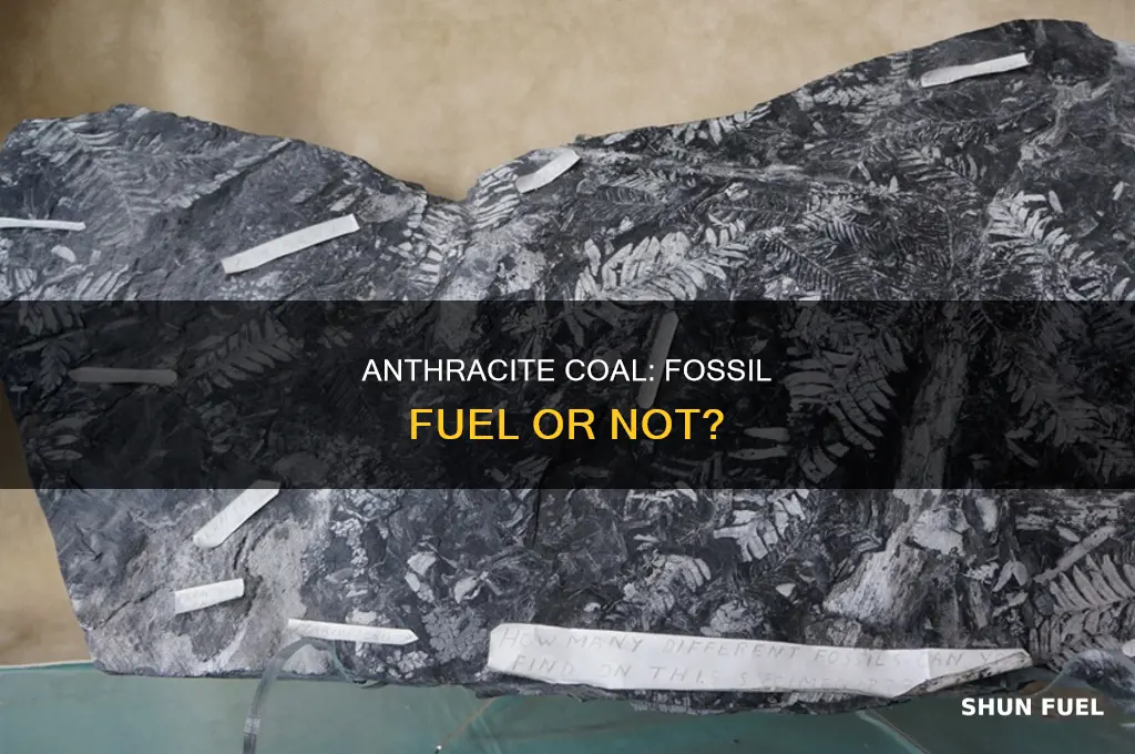 is anthracite coal a fossil fuel