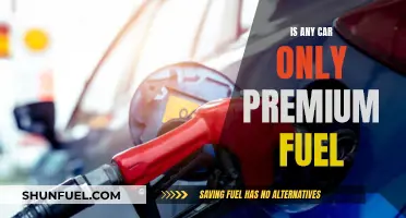 Premium Fuel: Are Some Cars Thirsty for the Best Gas?