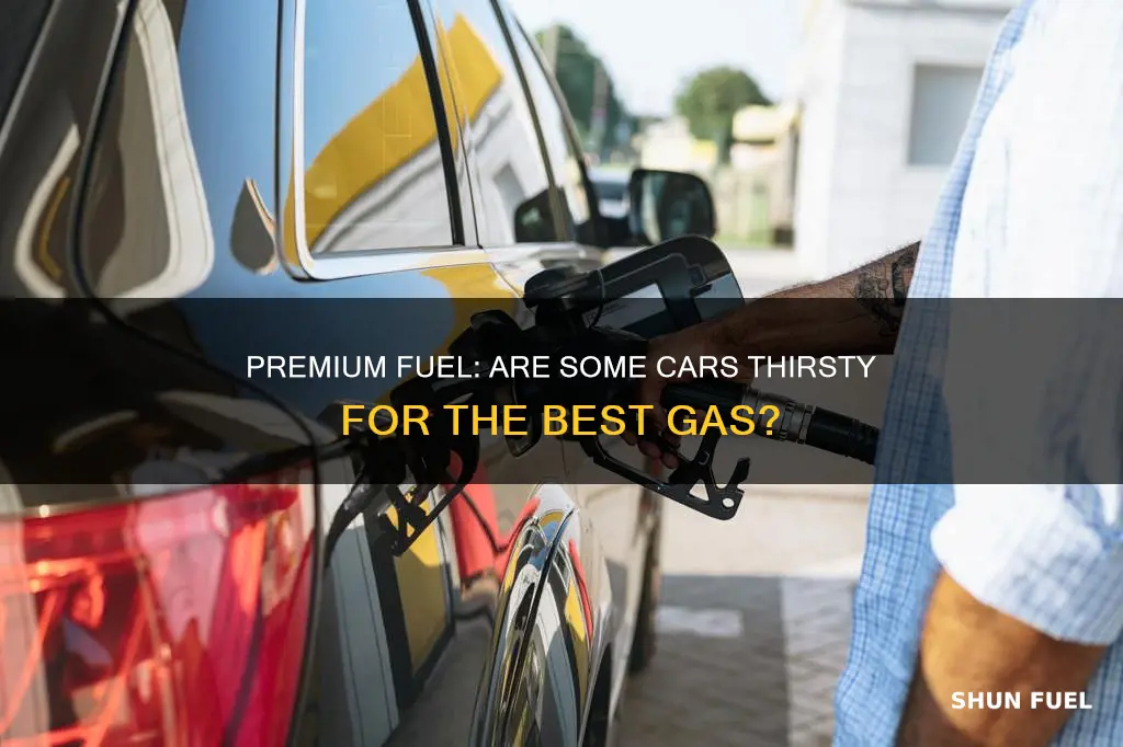 is any car only premium fuel