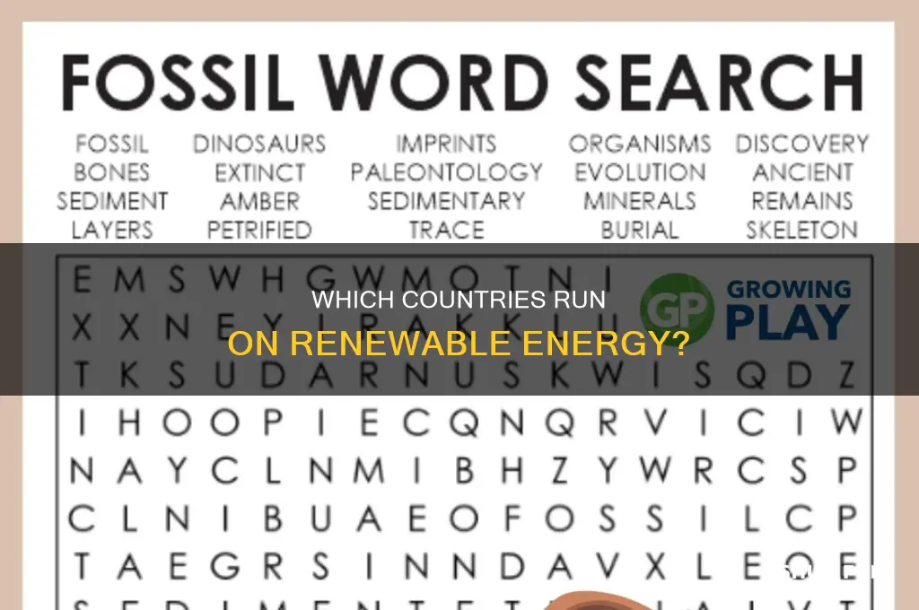 is any country fossil fuel free