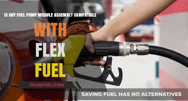 Flex Fuel Compatibility: Can Any Fuel Pump Module Assembly Work?