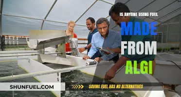 Algae-Based Fuel: A Growing Trend or Still a Niche Solution?