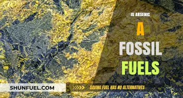 Arsenic in Fossil Fuels: A Toxic Truth