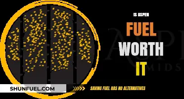 Is Aspen Fuel a Worthwhile Investment? Pros, Cons, and Verdict