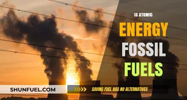 The Future of Energy: Atomic Power vs Fossil Fuels