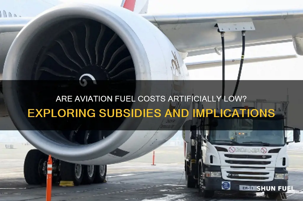 is aviation fuel subsidised