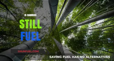 Bamboo as Fuel: Sustainable Resource or Outdated Energy Source?