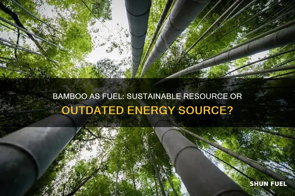 is bamboo still fuel