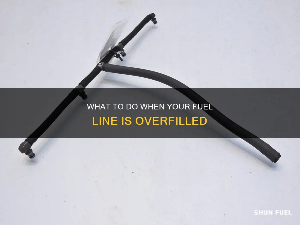 is being slightly over the dipstick fuel line