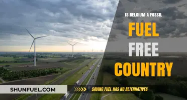 Belgium's Transition: Fossil-Free Future?