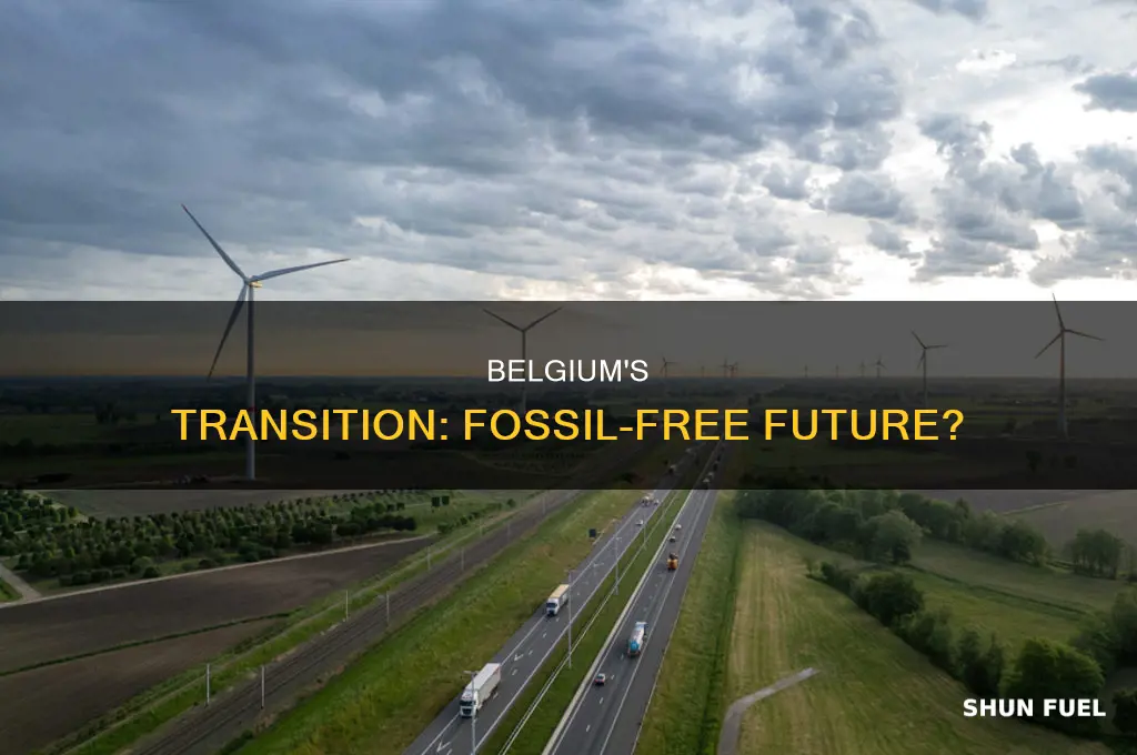 is belgium a fossil fuel free country